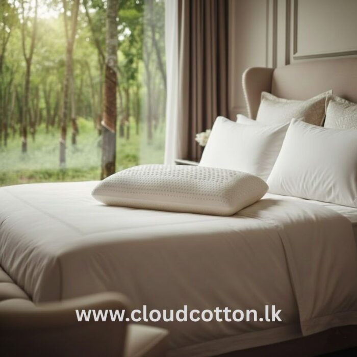 Natural Latex Standard Pillow