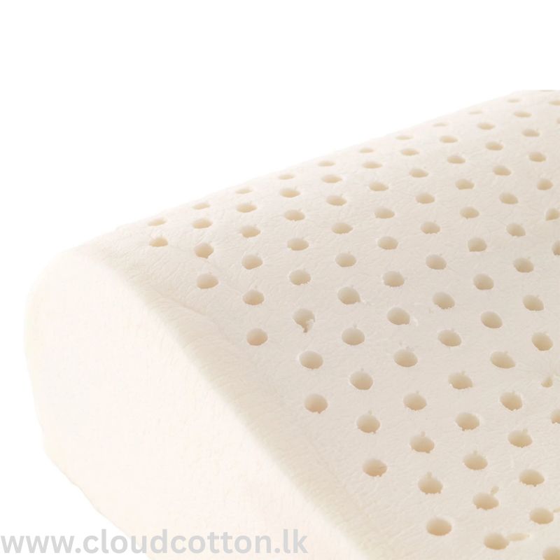 Natural Latex Contour Pillow - Image 3