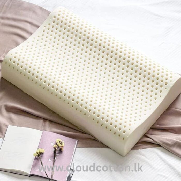 Natural Latex Contour Pillow